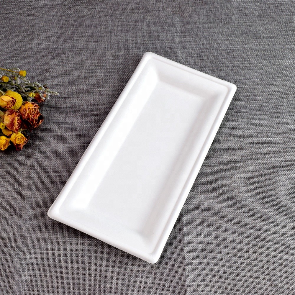 Rectangle Food Plates Sugarcane Tableware Chinese Supplier