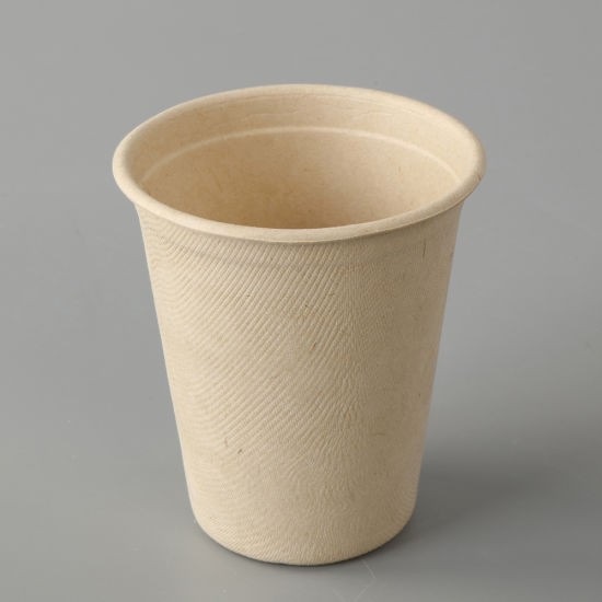 8oz/12oz bagasse hot bamboo coffee cups with lid