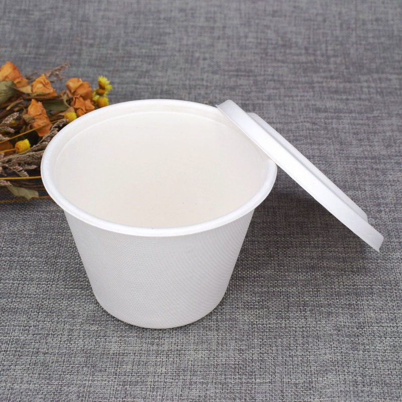Big Soup Cup 15oz/17oz Paper Pulp Compostable Cup with Lid 
