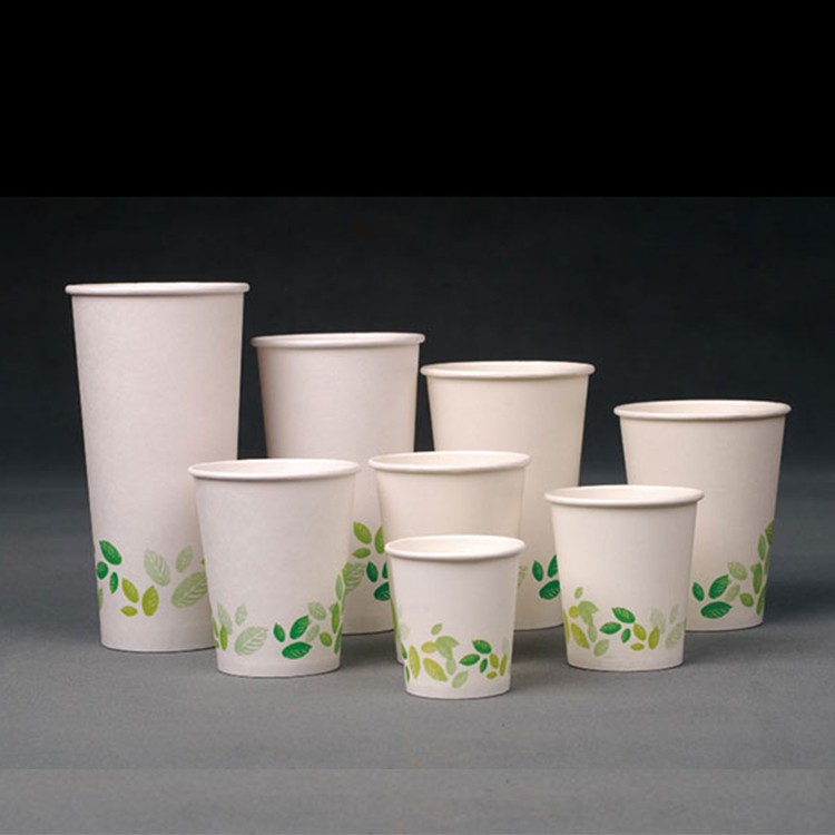 Disposable 6oz Single walll paper cup