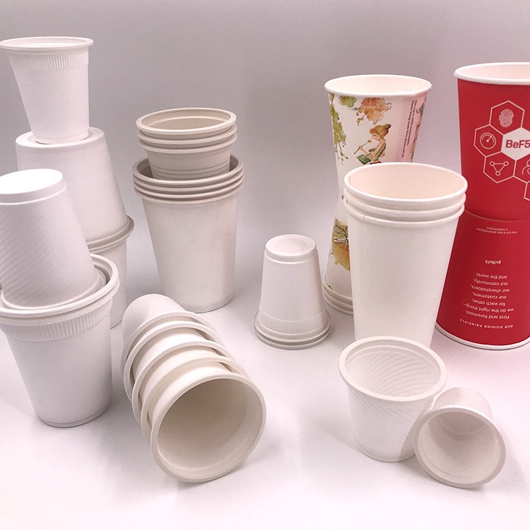 Biodegradable Disposable 20oz single wall paper cup