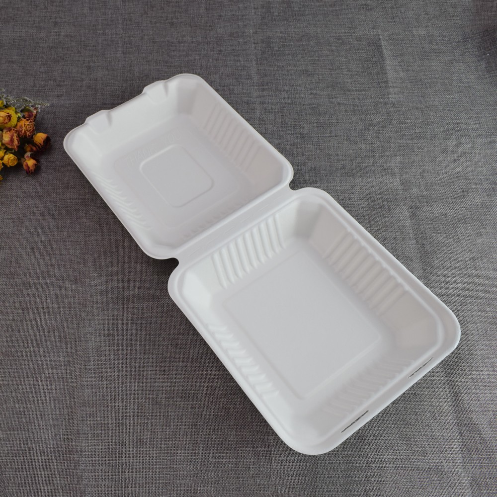 8/9inch Biodegradable Compostable Bagasse Fast Food Container Takeaway Bento Boxes