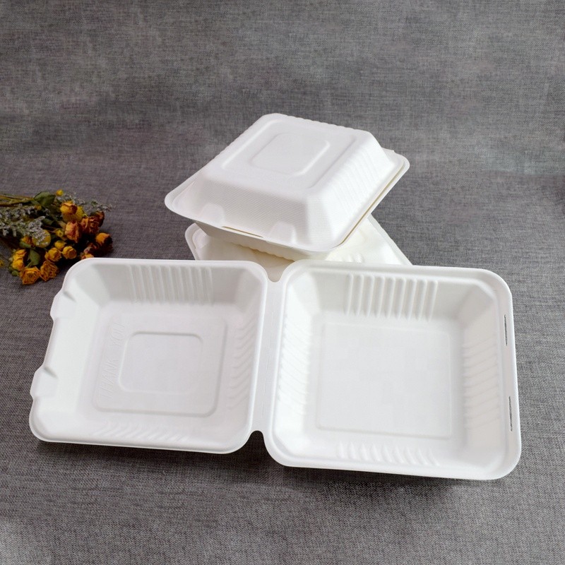 8/9inch Biodegradable Compostable Bagasse Fast Food Container Takeaway Bento Boxes