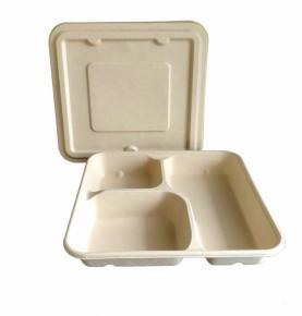 3Compartment natural color trays biodegradable sugarcane bagasse tableware