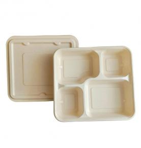 4 Compartments Food Tray With Lids Natural Color Sugarcane Material Natural Color