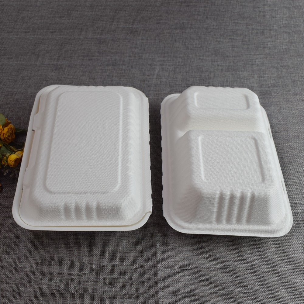 9x6inch 2 Comaprtment Compostable Eco-friendly Sugarcane Bagasse Food Container