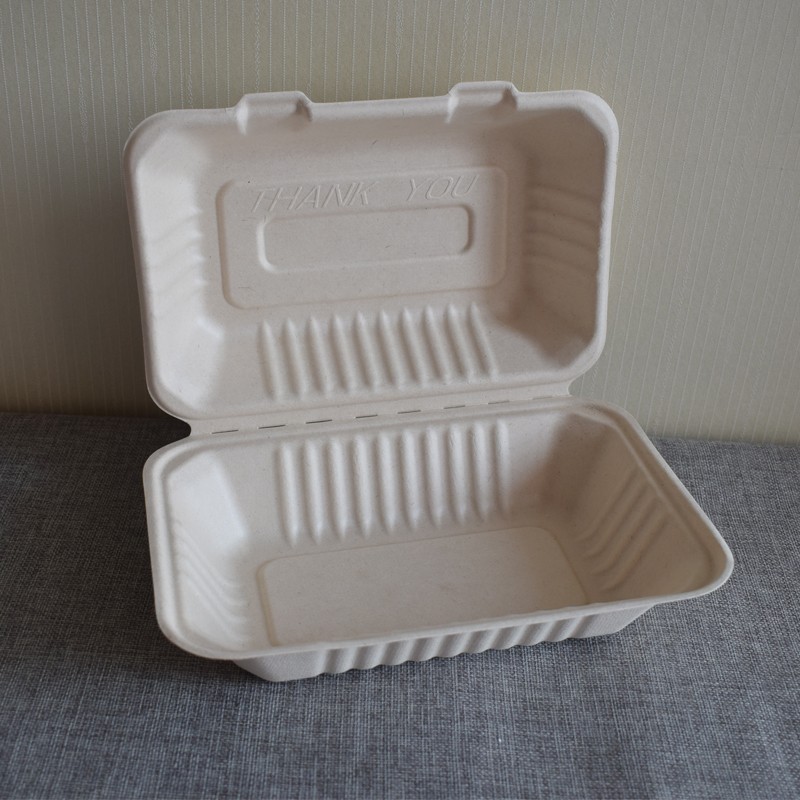 Custom Bagasse Box Biodegradable Food Takeout Containers Noodle Pp Lid –  Fastfoodpak