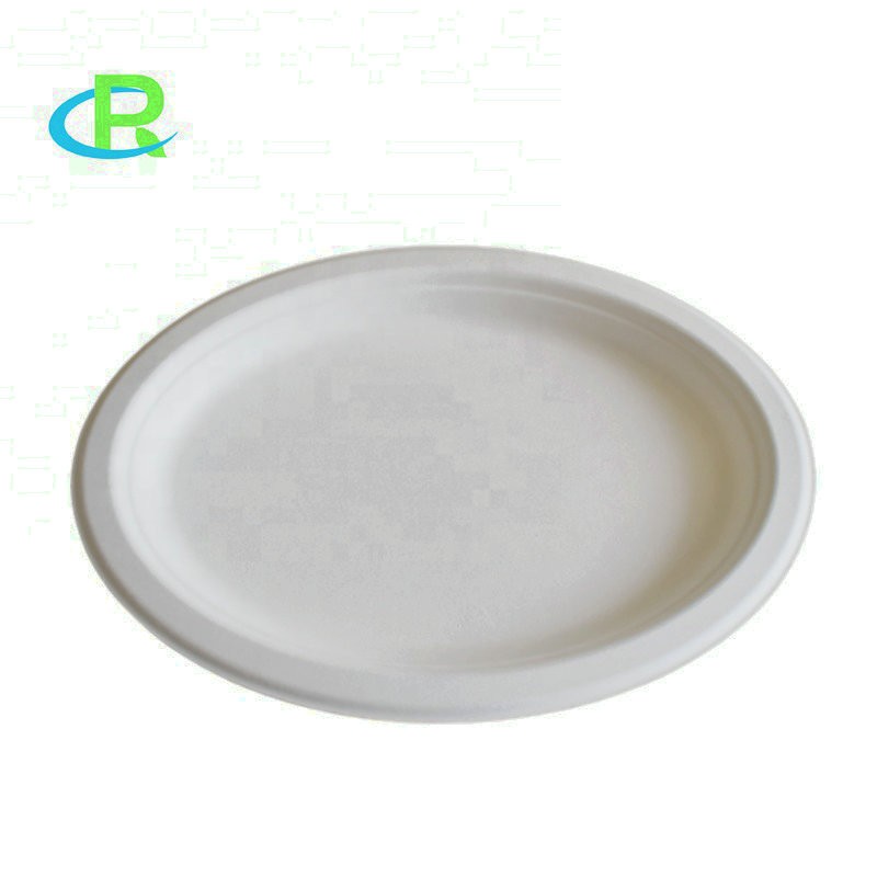 Small/Big Bagasse Oval Plates Disposable Bagasse Food Plate Biodegradable