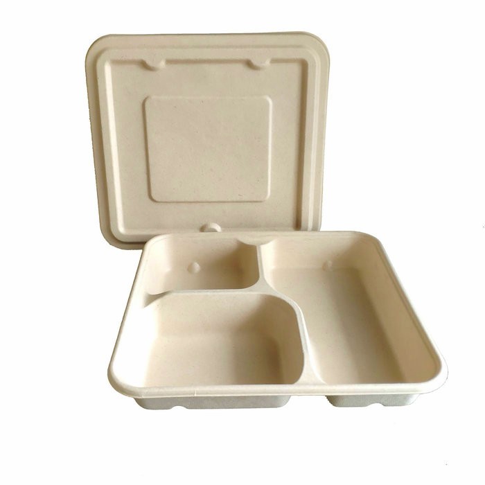 3Compartment natural color trays biodegradable sugarcane bagasse tableware