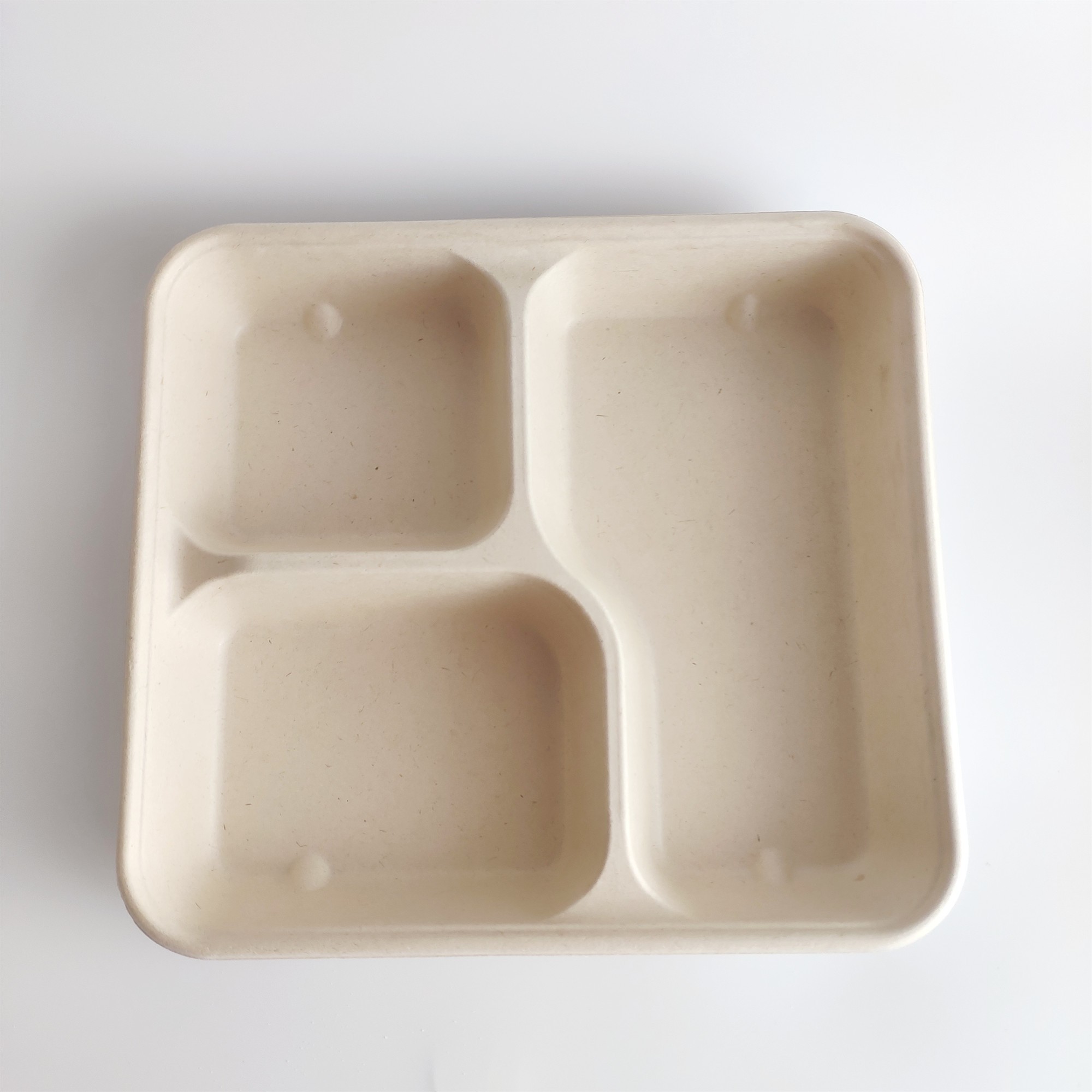 3Compartment natural color trays biodegradable sugarcane bagasse tableware