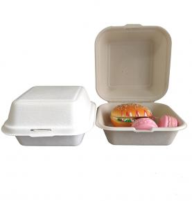Compostable Biodegradable 6inch Sugarcane Bagasse Food Container Takeaway Box
