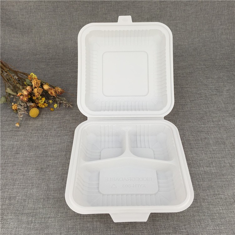 Biodegradable To Go Containers Food Eco Friendly Disposable Sugarcane –  Fastfoodpak