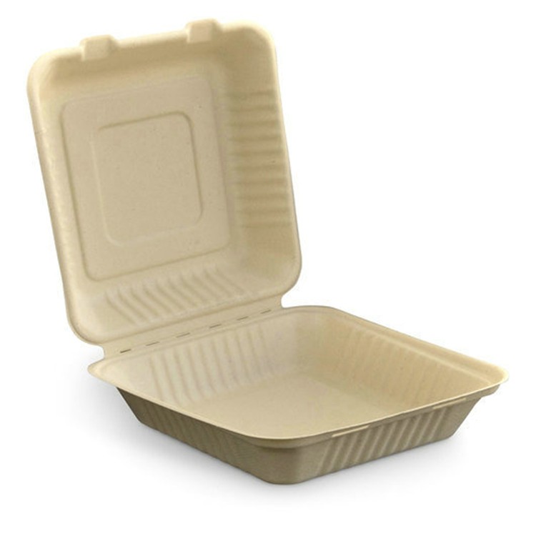9inch Square Shape Bagasse Food Takeaway Disposable Container