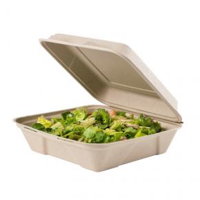 9inch Square Shape Bagasse Food Takeaway Disposable Container