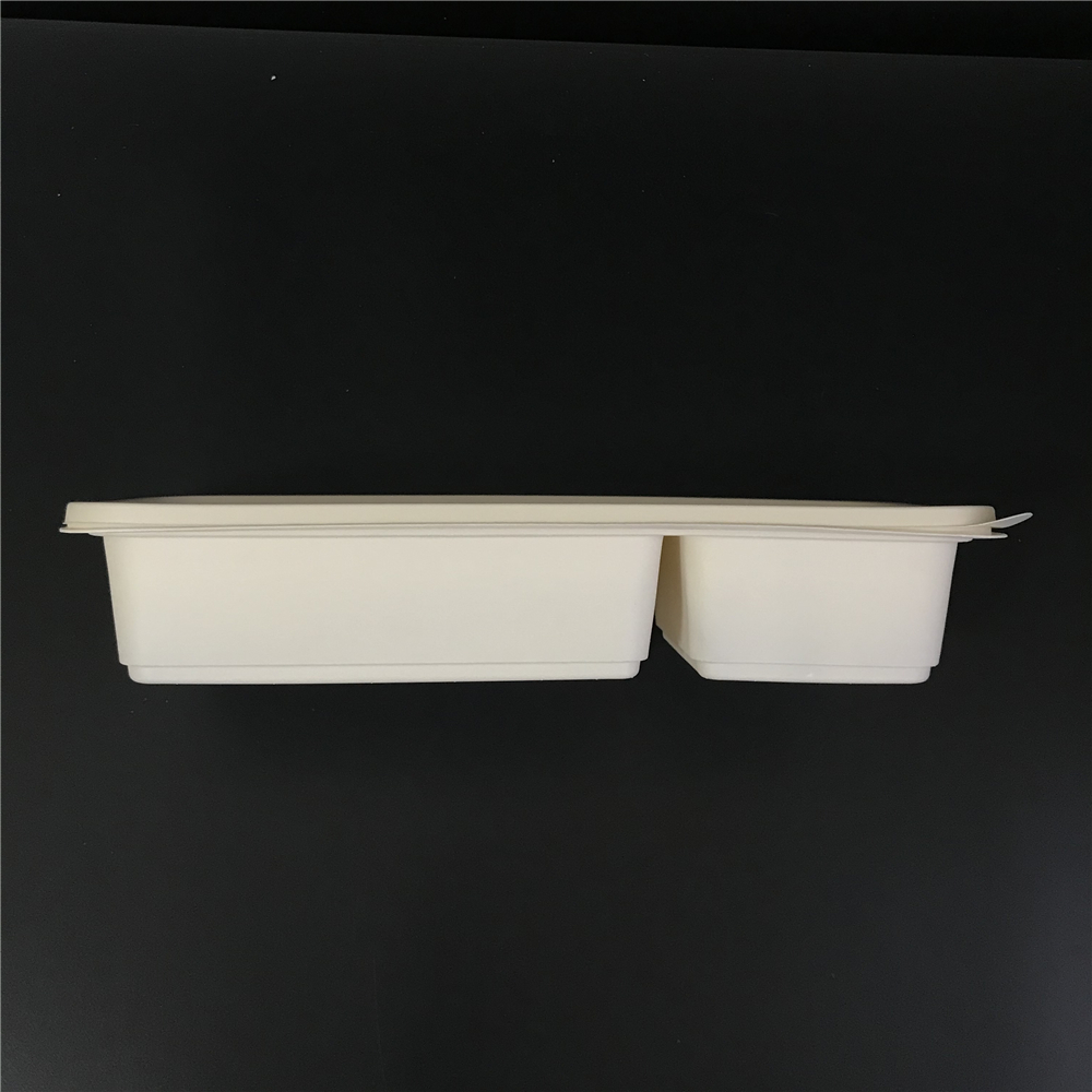Eco Rectangle Cornstarch Tray with Lid Manufacturer