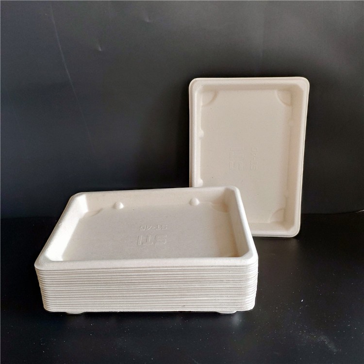 Rectangle Small Food Trays Bagasse Food Plates Biodegradable Tableware