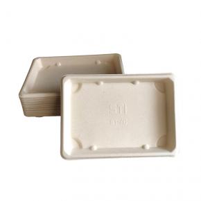 Rectangle Small Food Trays Bagasse Food Plates Biodegradable Tableware