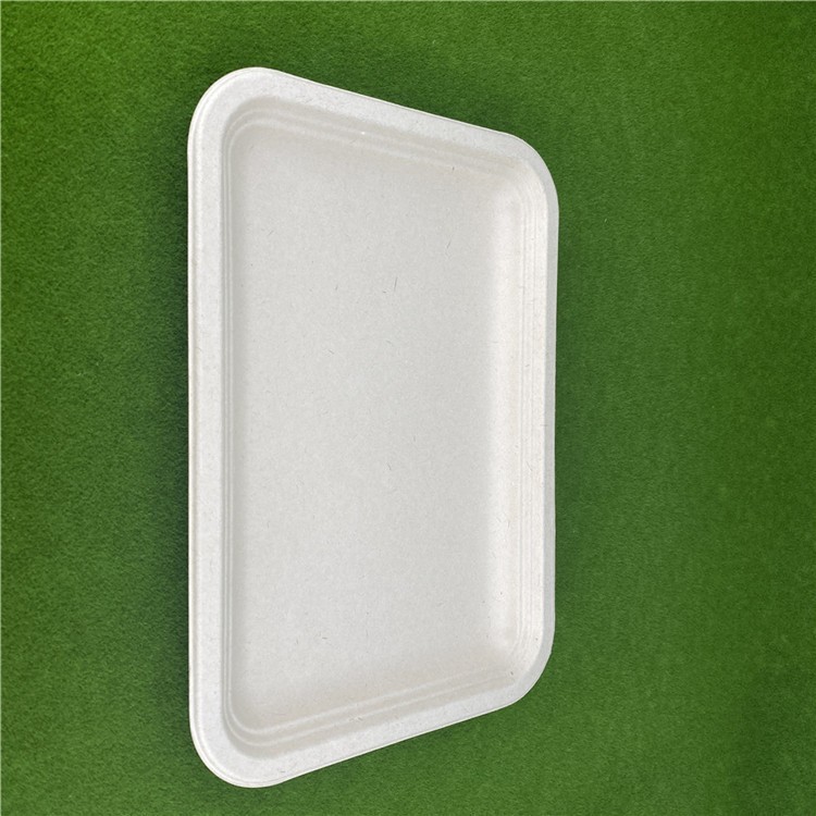 Large Size Compostable Biodegradable Bagasse Tray For Food Contain