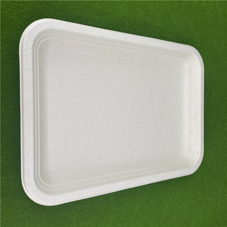 Envionmental Protection Compostable Sugarcane Bagasse Tray With Good Quality