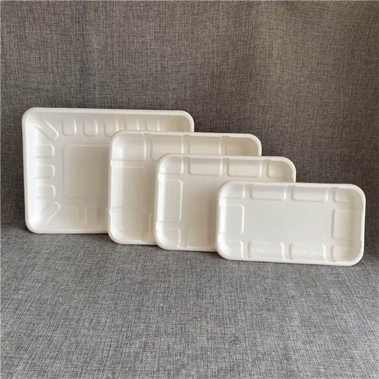 Good PriceTop Quality Biodegradable Compostable Bagasse Tray