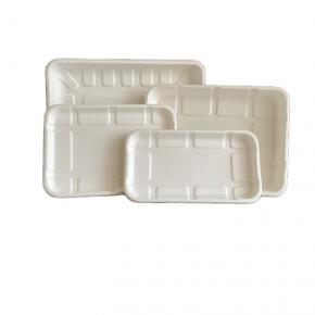 Good PriceTop Quality Biodegradable Compostable Bagasse Tray