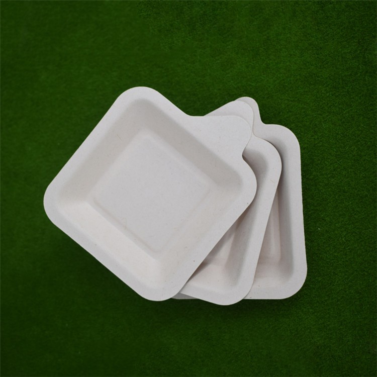 Cute Design Bagasse Pulp Cake Tray Biodegradable