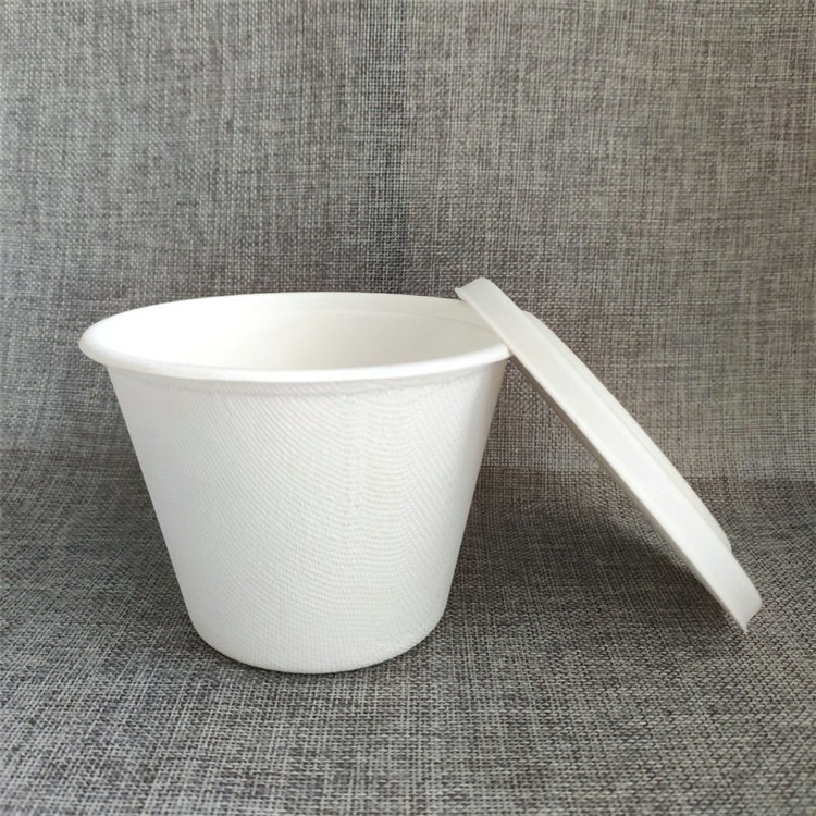 750ml Large Size Bagasse Cups with Lid Biodegradable 100%