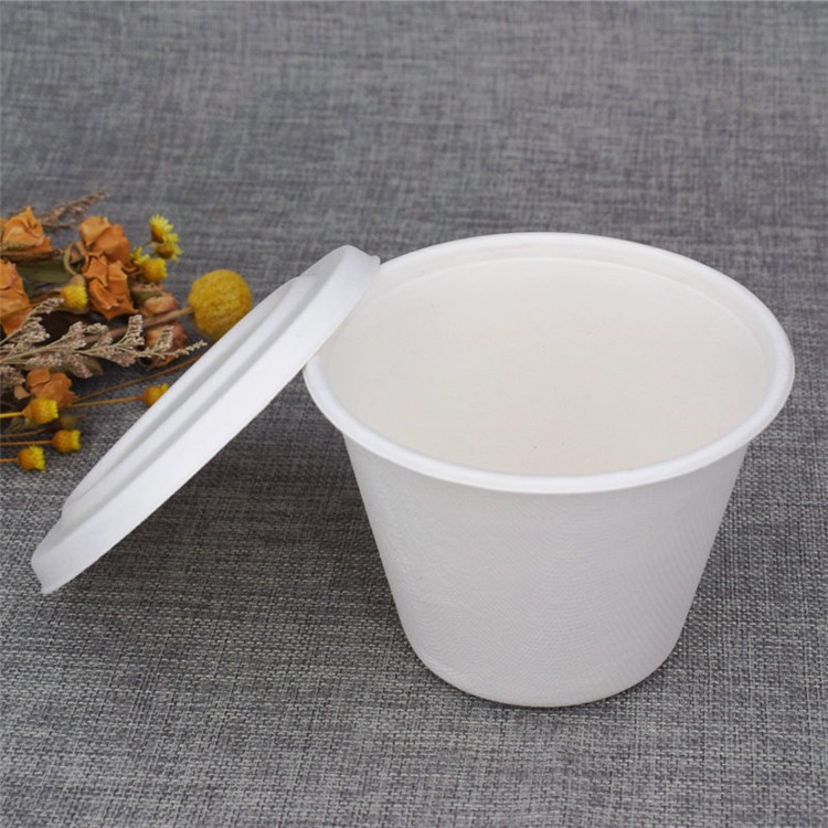 750ml Large Size Bagasse Cups with Lid Biodegradable 100%