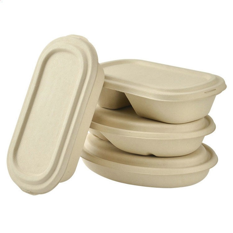 Oval Salad Tray with Lid Biodegradable Natural Food Packaging