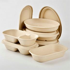 Oval Salad Tray with Lid Biodegradable Natural Food Packaging