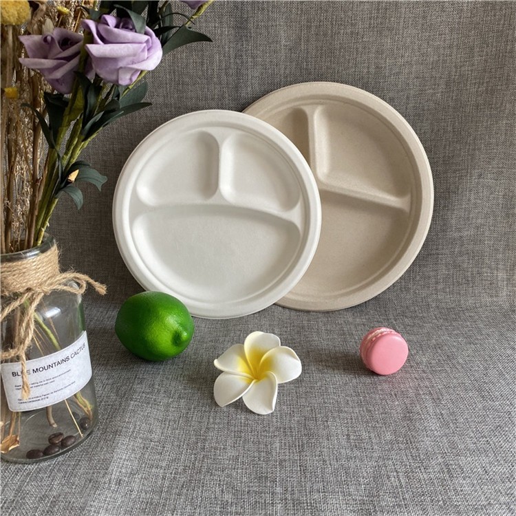 10 Inch 3 Compartment Round Plates 100% Biodegradable, Compostable