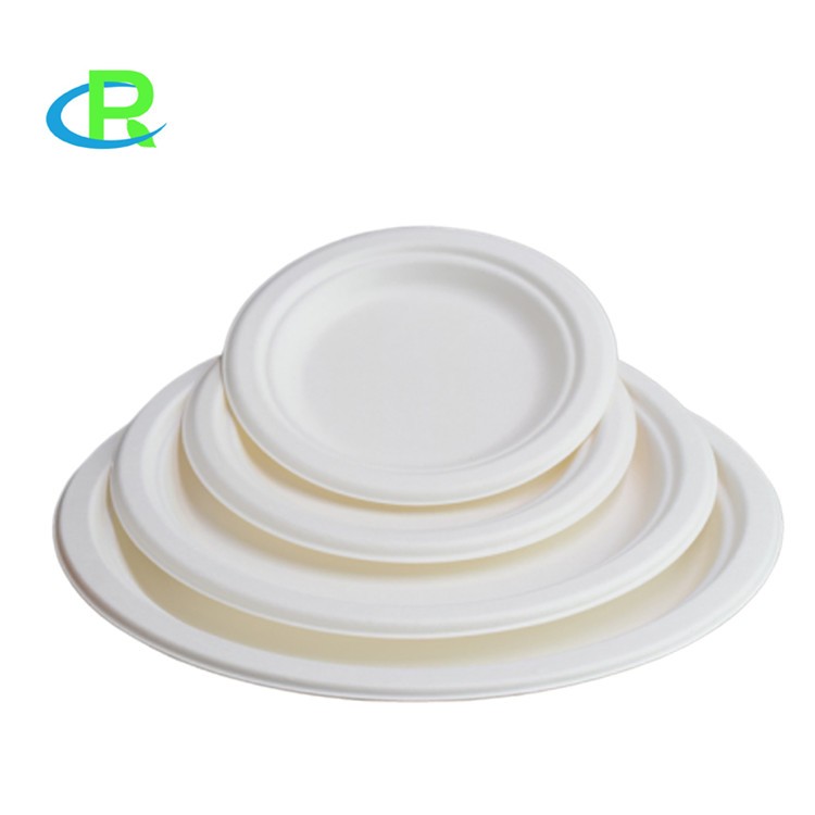 Party Use 10 inch Compostable Sugarcane Bagasse Round Plate