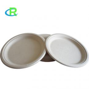 Party Use 10 inch Compostable Sugarcane Bagasse Round Plate
