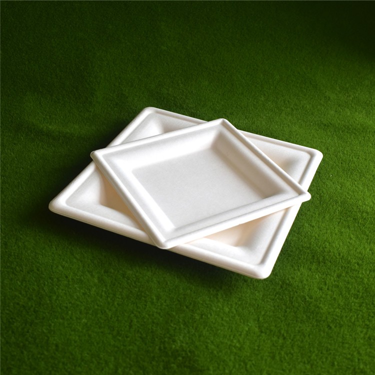 10 inch Eco-friendly Sqaure Biodegradable Home Compostable Plate