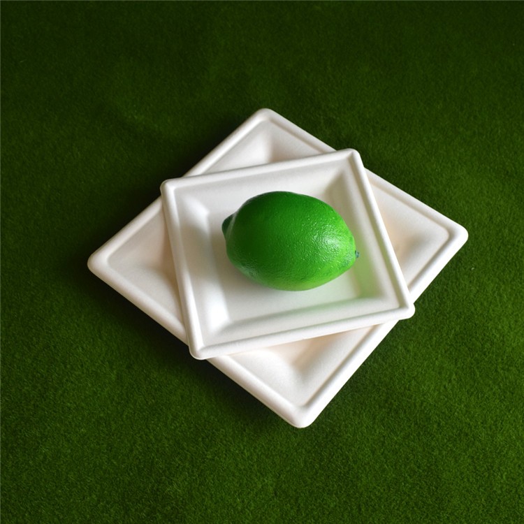 10 inch Eco-friendly Sqaure Biodegradable Home Compostable Plate