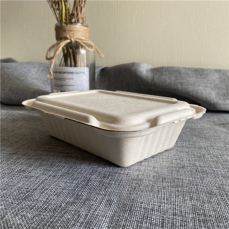 New Design For Compostable Suagecane Bagasse Clamshell Food Box