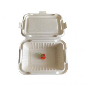 New Design For Compostable Suagecane Bagasse Clamshell Food Box