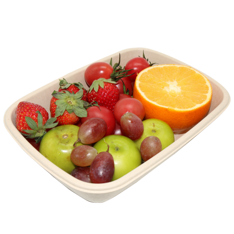 900ml Fruit Trays With Lid Disposable Biodegradable Natural Color Sugarcane Bagasse Tray