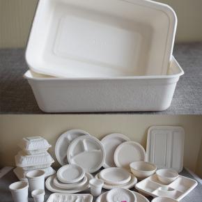 Difference between corn starch products and bagasse products