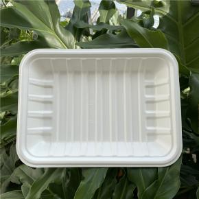 Bagasse tray with spray coating