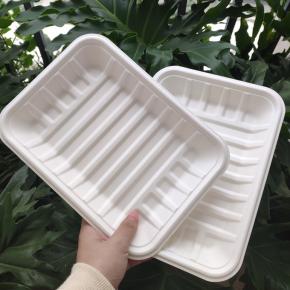 Sugarcane meat trays