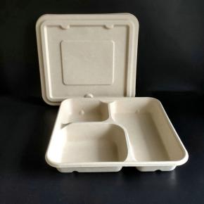 Disposable lunch tray with lids