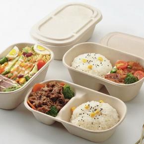 2C bagasse salad box