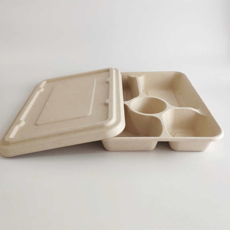 Disposable Fiber Lunch & Cafeteria Tray - 5 Compartment