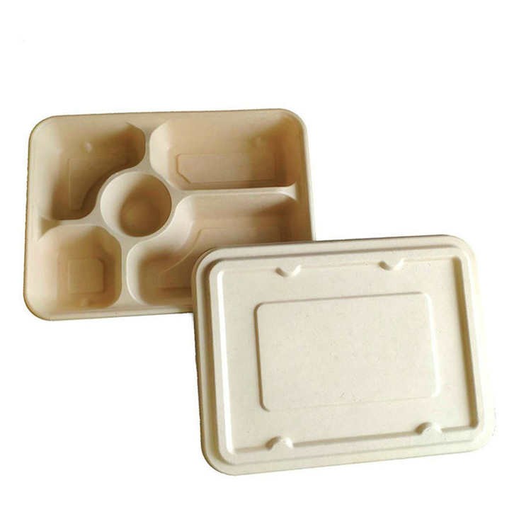 5 Compartment Tray With Lid Sugarcane Bagasse Food Trays Takeaway