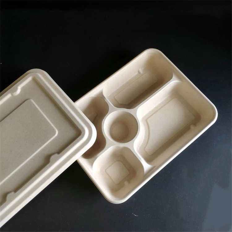 5 Compartment Tray With Lid Sugarcane Bagasse Food Trays Takeaway