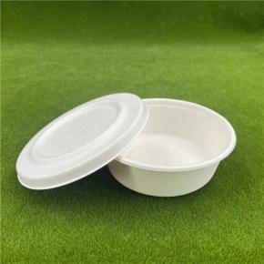 Bagasse Salad Bowl