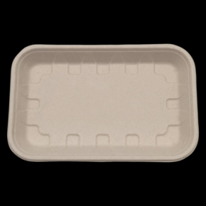 Sugarcane Rectangle Trays For Fruit with Lid