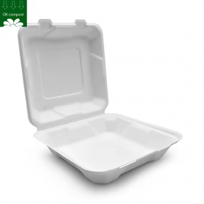 Custom Service Disposable Sugarcane Bagasse Pulp Square Food Packing Box Container