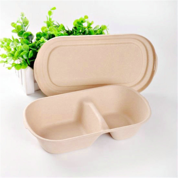 850/1000ml Sugarcane Natural Color Salad Tray With Lid Oval Shape Food Container